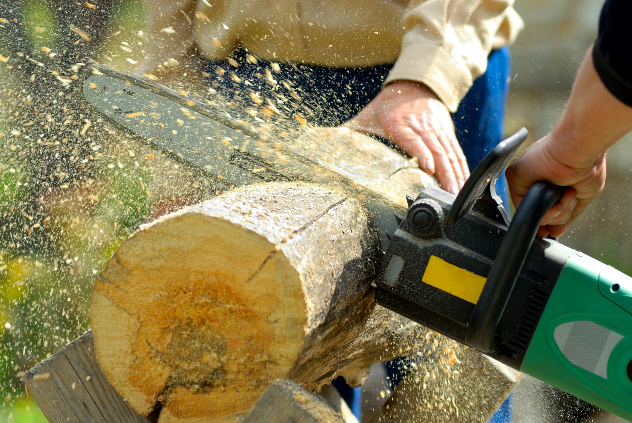 man sawing a log